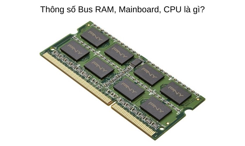 Thông số Bus RAM, bus Mainboard và bus CPU là gì