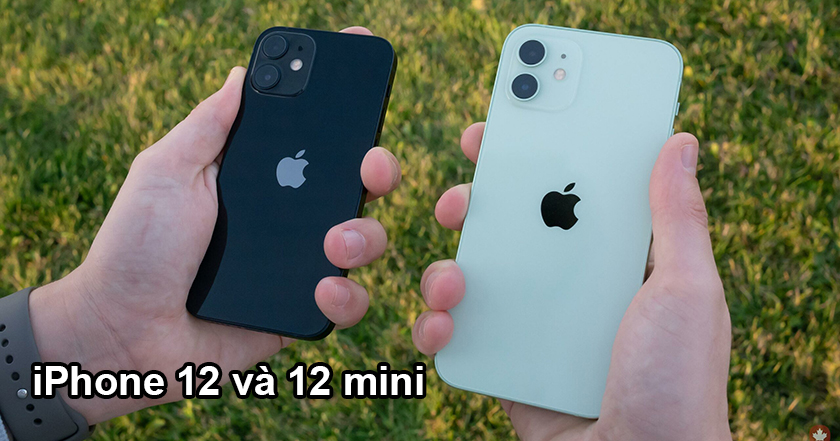 iPhone 12 và 12 mini