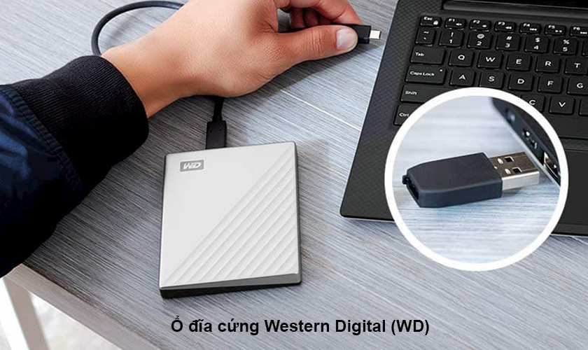 Ổ đĩa cứng HDD là gì? giá cả