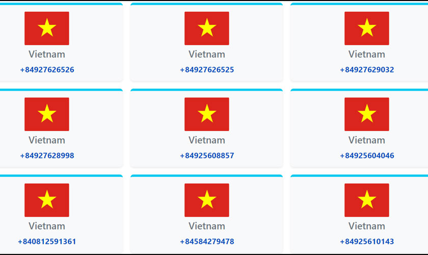 màn hình hiển thị một loạt danh sách số ảo tại việt nam